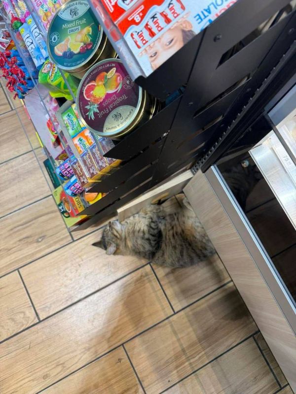 ��� �������� ���� �������� ������ � ������