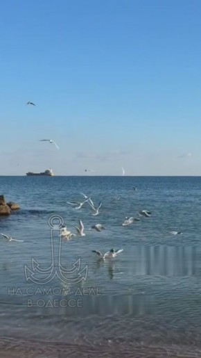 ������ ����, ������. ������� �������, 20 ������