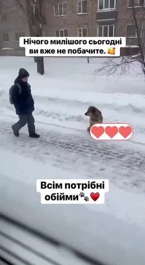 ����� ������� �� ������. ������ ����� ������� �� ��� �� �������