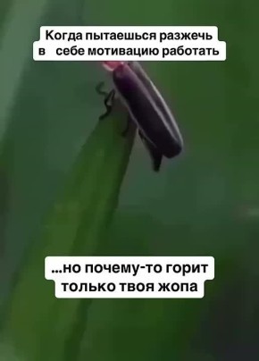 ��� � ����� � ������ ��������