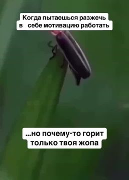 ��� � ����� � ������ ��������