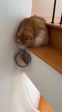 � ��� �� ��������� ������� � ����, ����� �������� ������ ����� ������� ����!