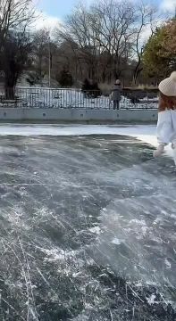 ��������� ������� ���������� ������ � �������� �� ����