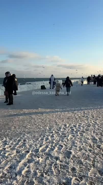 ��� ����� ����� �� ������. ������� ���������� ������� �� ���������