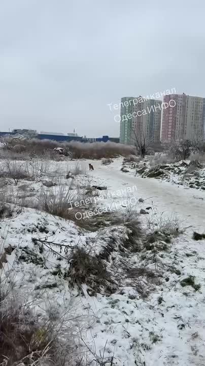 ������� ������� � ������ ������