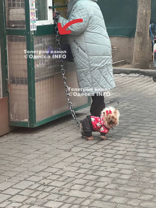 ����� ���������� �� �������� ���� �������� ��������� � ������