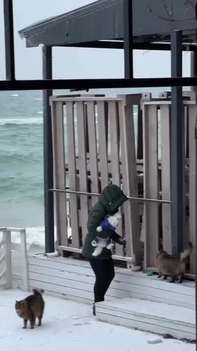 �������� ������ ���������. ��� ����� - ����� �������� � ������������ �������������� ����� �� �����! � �������� ���������� ����� �� ��� ����