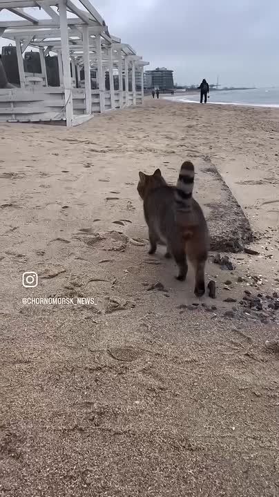 ��������� ������ ������������ � ������� ��������