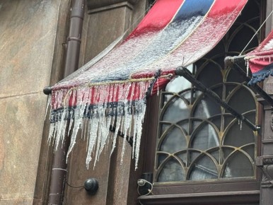 ������ ����, ������!. ������� �������, 29 ������, ��������, �������, ����