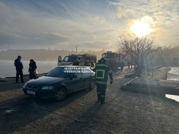 ���������� ������������ �������� ������������ ������� � �������� �������