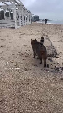 ��������� ������ ������������ � ������� ��������