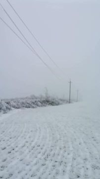 � �������� ������� ���������� ��������������� ����������������