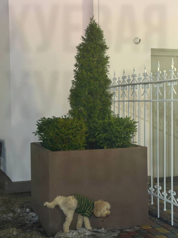 �������� �������� �� ���������� ������������� �����