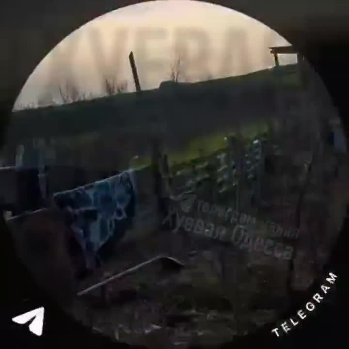 ������� ���������� �������� ��������� � ������� � �������� �������