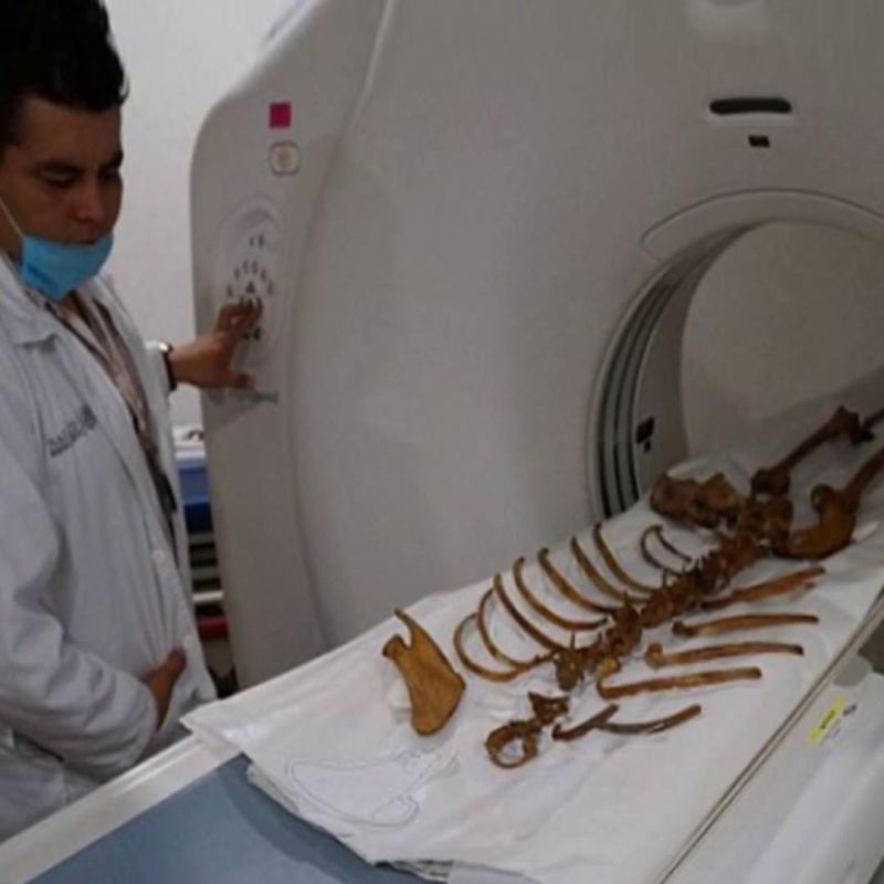 � �������� ������� ������� ��������� �� ����� ���