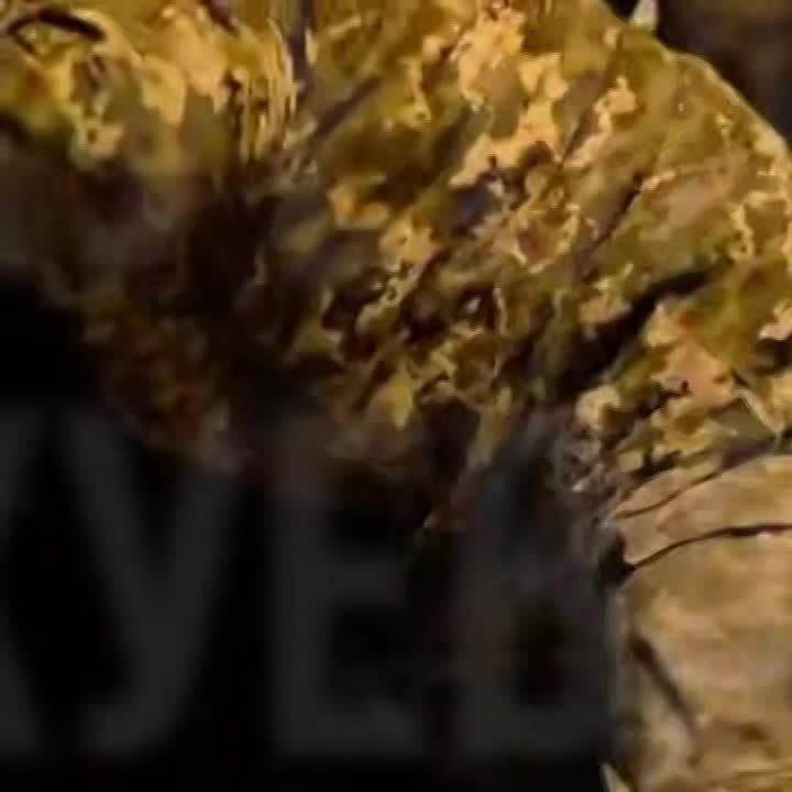 � �������� ��� ���������� ����������� �� �������� ��������: ��� ���� ������������