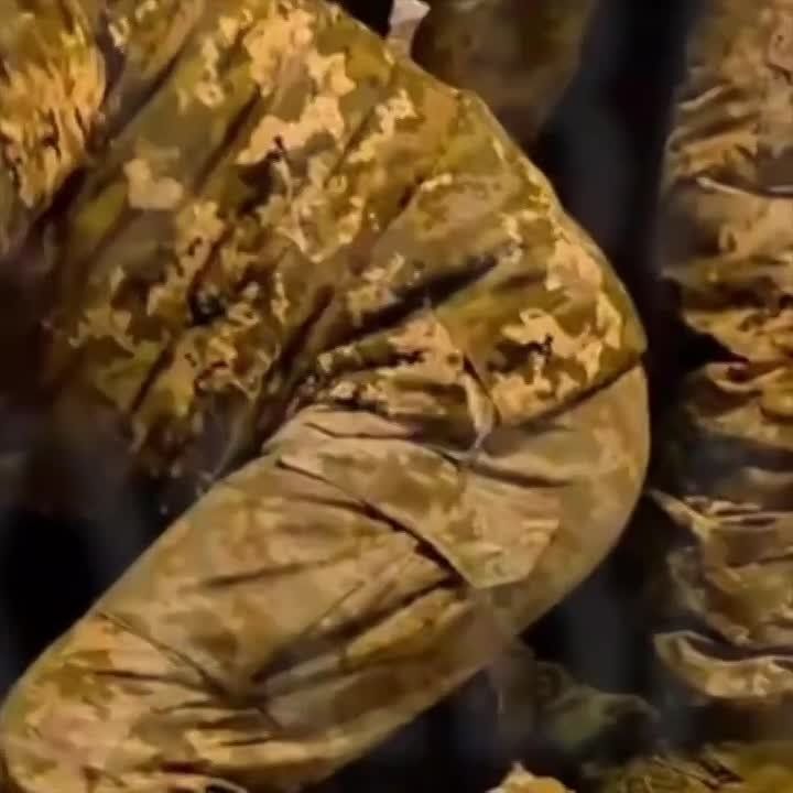 � �� �** �� �������� �����, �***�?