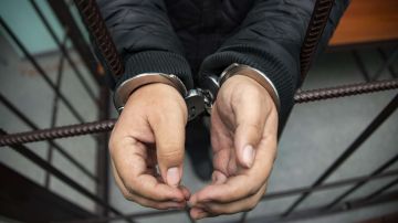 �������� ���������* ����������� � 17 �����