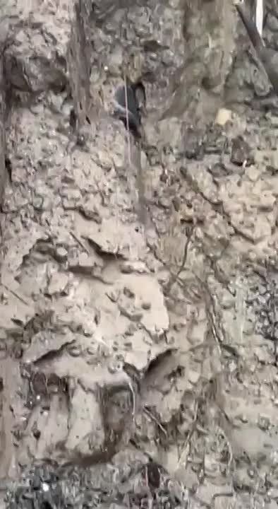 � ������ ������������� ��� ���� ��������� ������ �� ��������