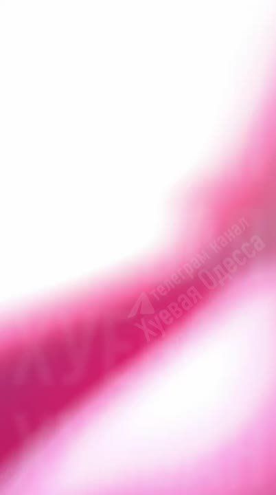 ������ ���. "***�� �� ******���, *****��� ������, � ���� ������ ��� **��"