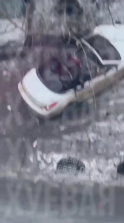 � ������ �������� ���������� ������������, ��������, ����������� � ������ ����������