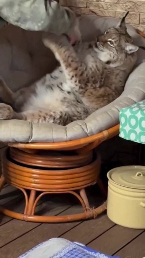 �� ������� ��, � �� ��������� �� ������