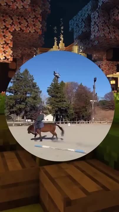 ��� ������� �������� ��������