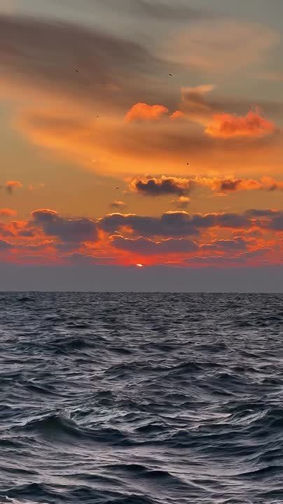 Доброе утро, Одесса!. Сегодня четверг, 12 февраля, и зимний дождь на закате