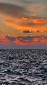 ������ ����, ������!. ������� �������, 12 �������, � ������ ����� �� ������