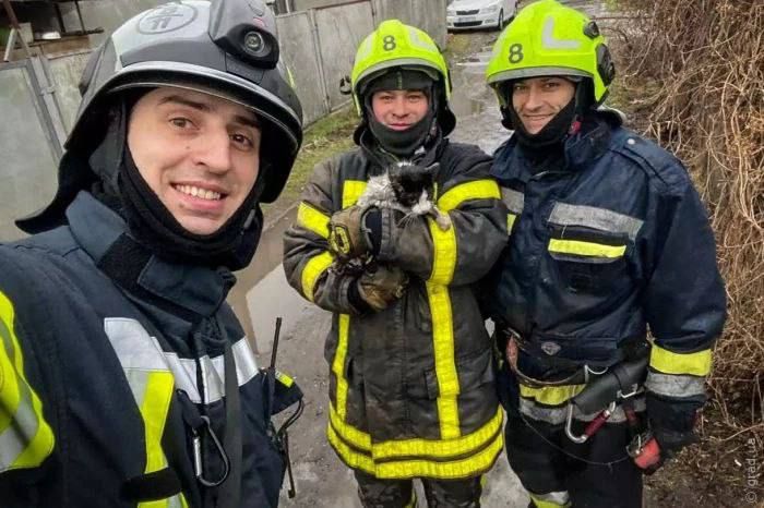 ������� ������: ��������� �� ������ ������� ���� �� ������������ ������������ ������