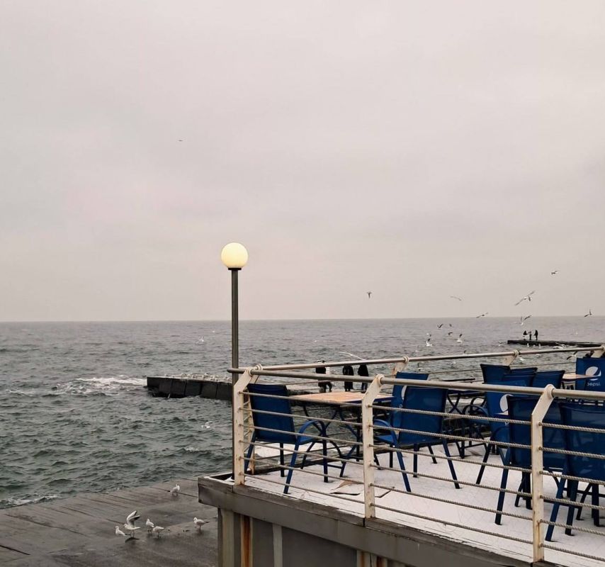 Доброе утро, Одесса!. Температура: минимальная температура составит +3 градуса, в течение дня воздух прогреется до +4. Ощущаться будет в диапазоне от -1 до +1. Ветер: по прогнозам синоптиков, ветер будет достигать скорости...