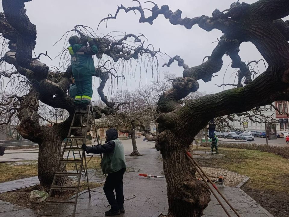 Софорам на Театральной площади в этом году исполнится 131 год