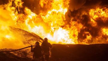 � ������ ����� ������������� ����� ����� ������������ � �/� �������