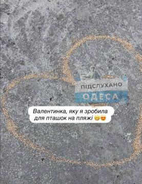 ���� ������ �� �������� ����� �������� ����������