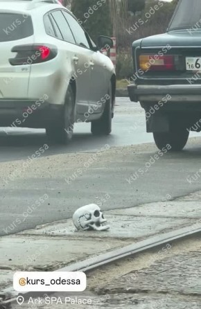 Останки бедного Йорика обнаружили на дороге в Одессе