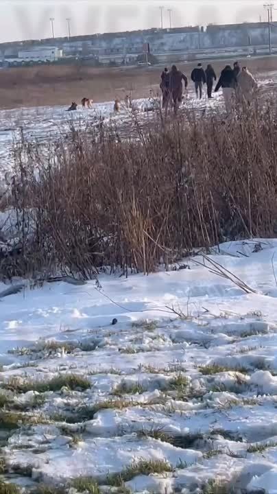 ������ �� �������� ���� �������� ������� ���������������� � ������������ � ��������� � ��� �������