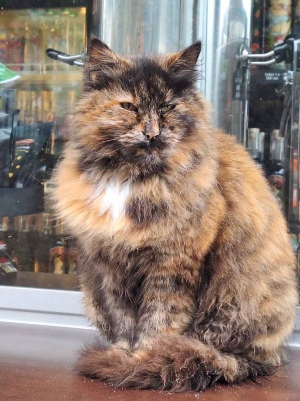 ����� ������ �������� ������� ��� � �����