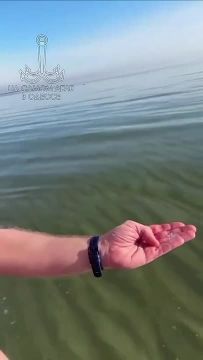 ����� ������-�����, ����������, ����� ������ ���� � ������� � ׸���� ����: