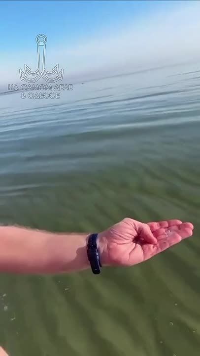 ����� ������-�����, ����������, ����� ������ ���� � ������� � ׸���� ����: