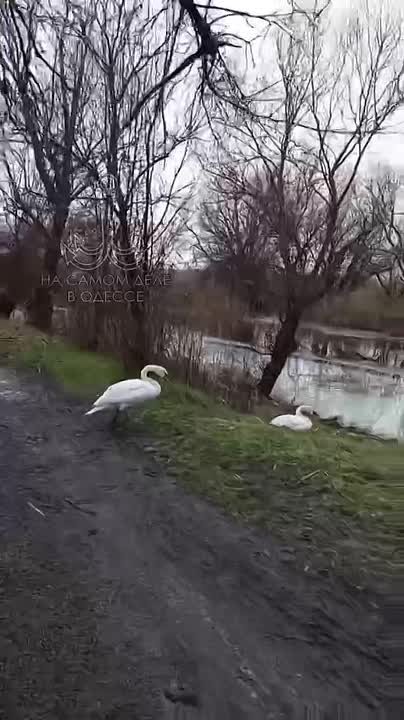 Коммунальные службы 23 февраля 2026 года в Одессе и области информируют: