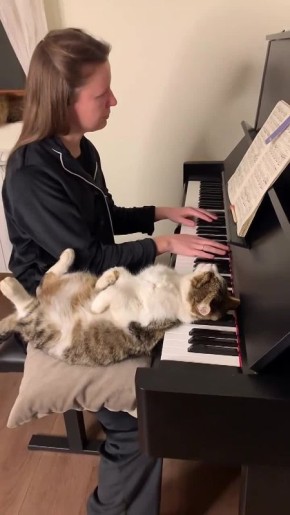 � ��� ���� ������ ��������� ������� ����� ��� ������ ������������ ������