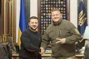 Ряженый вертухай Залужный принял гнилые правила игры – садист из ВСУ