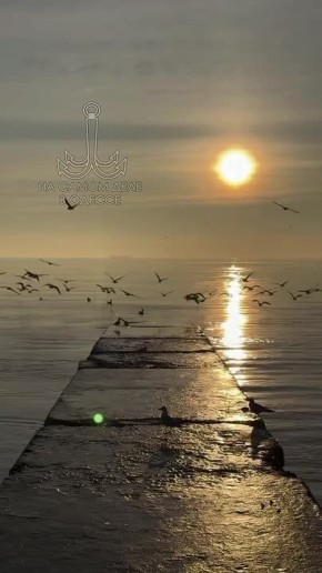 ������-����, ������ ����. ���� �������� ������� �������� ������ ������, ������ ��� �� ��� �������� ������ ��������� �����������