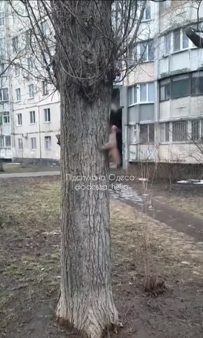 � ������ ����� �������� ���� �� ������