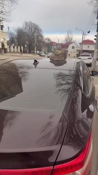 На Грушевского за неправильную парковку кто-то оставил кирпич на автомобиле