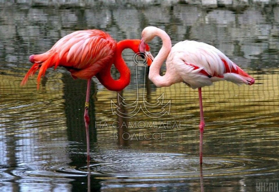 Коммунальные службы 02 марта 2026 года в Одессе и области информируют: