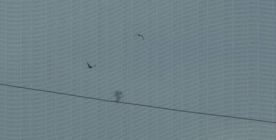 � ������ ���������� ������ �� ���� ��������� �������