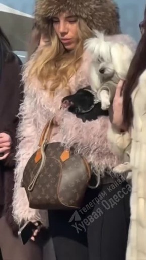 ������ ����������, ������ ������� � ������ ���������� �������