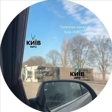 На трассе Одесса-Киев перевернулась фура со свиньями