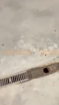 В Одессе дети запихали щенка в ливневую канализацию